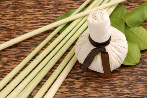 Thai Herb Compress Massage